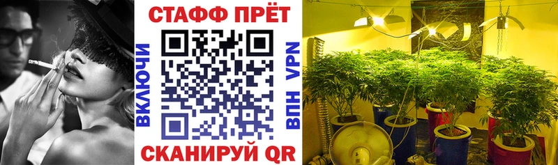 Галлюциногенные грибы Облучье